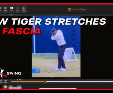 How Tiger Woods Stretches His Fascia In The Golf Swing For Effortless Power