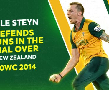 Dale Steyn's stirring spell stuns New Zealand | T20WC 2014