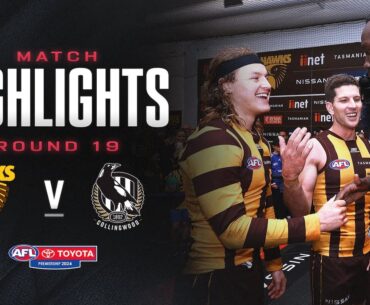 Hawthorn v Collingwood Highlights | Round 19, 2024 | AFL