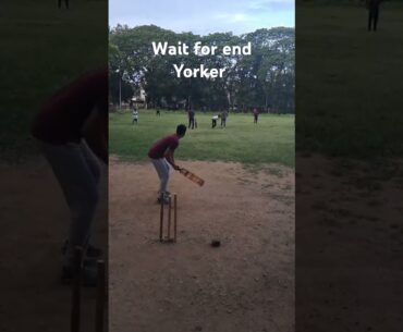 || Yorker kaise Dale tips || #tips #yorkar #cricket #cricketlover #shorts #shortsfeed #viralshort