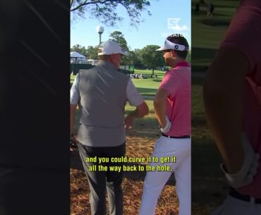 Relief Denied from TIO - Golf Rules Explained