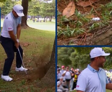 Xander Schauffele cards quadruple bogey from tree root | ZOZO CHAMPIONSHIP 2024