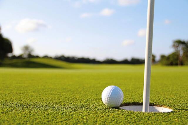 7858216_web1_golfstock1