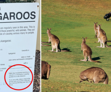 Aussies stunned by 'aggressive' detail on golf course warning sign in tourist town