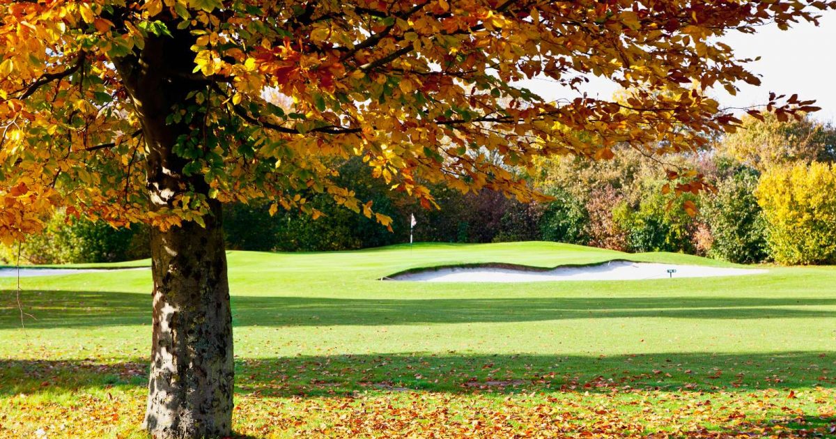 A golf course in the autumn