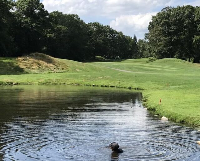 Saw this guy diving for golf balls at my local course.